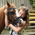 Hobby Horse - pasja, która zdobywa serca