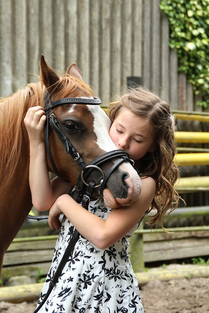 Hobby Horse - pasja, która zdobywa serca